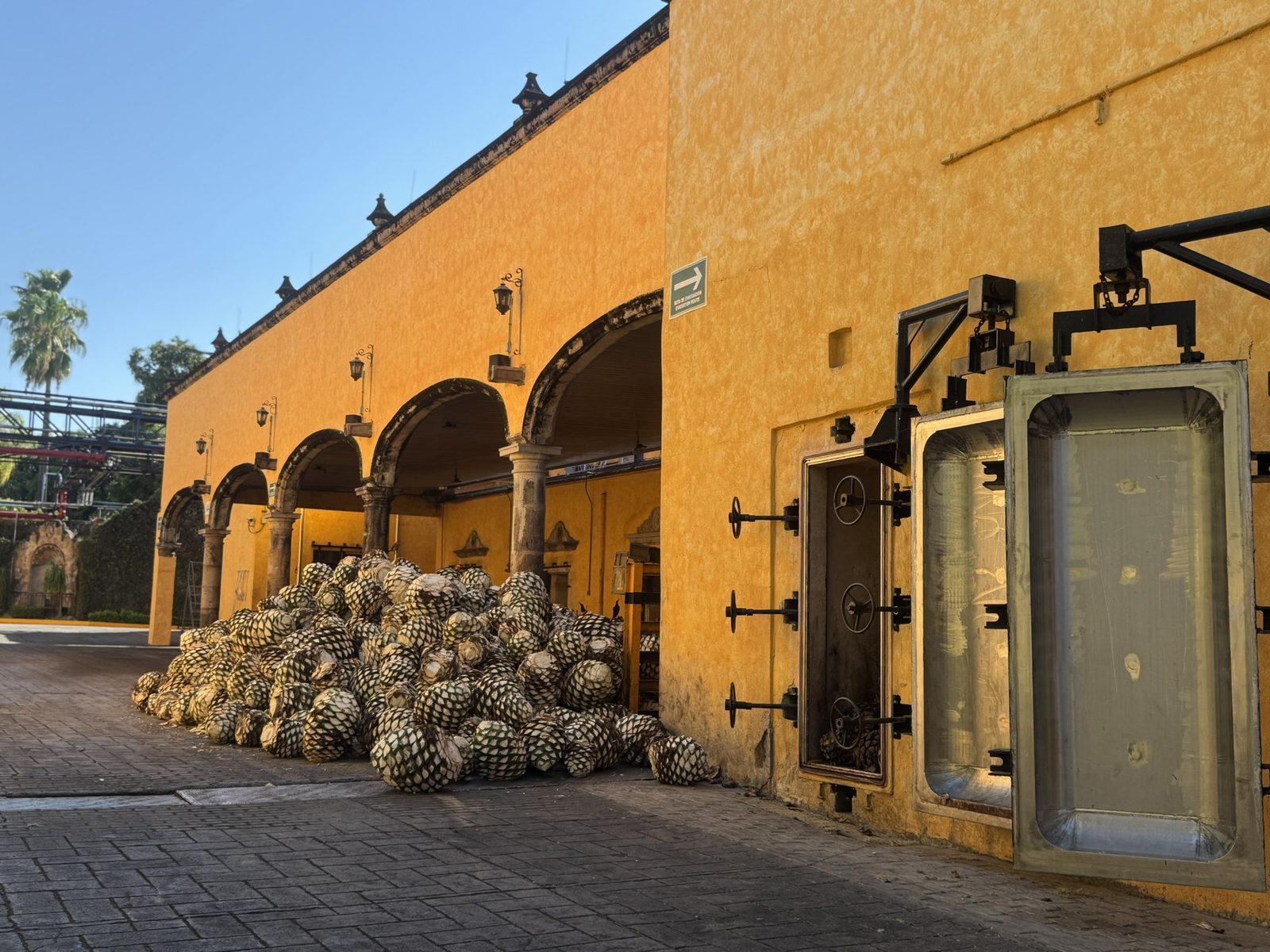 Tour Tequila y destilería “La Rojeña” José Cuervo